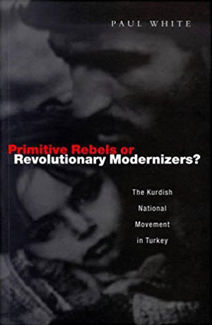 Примитивные повстанцы или революционные модернизаторы?: Курдское националистическое движение в Турции